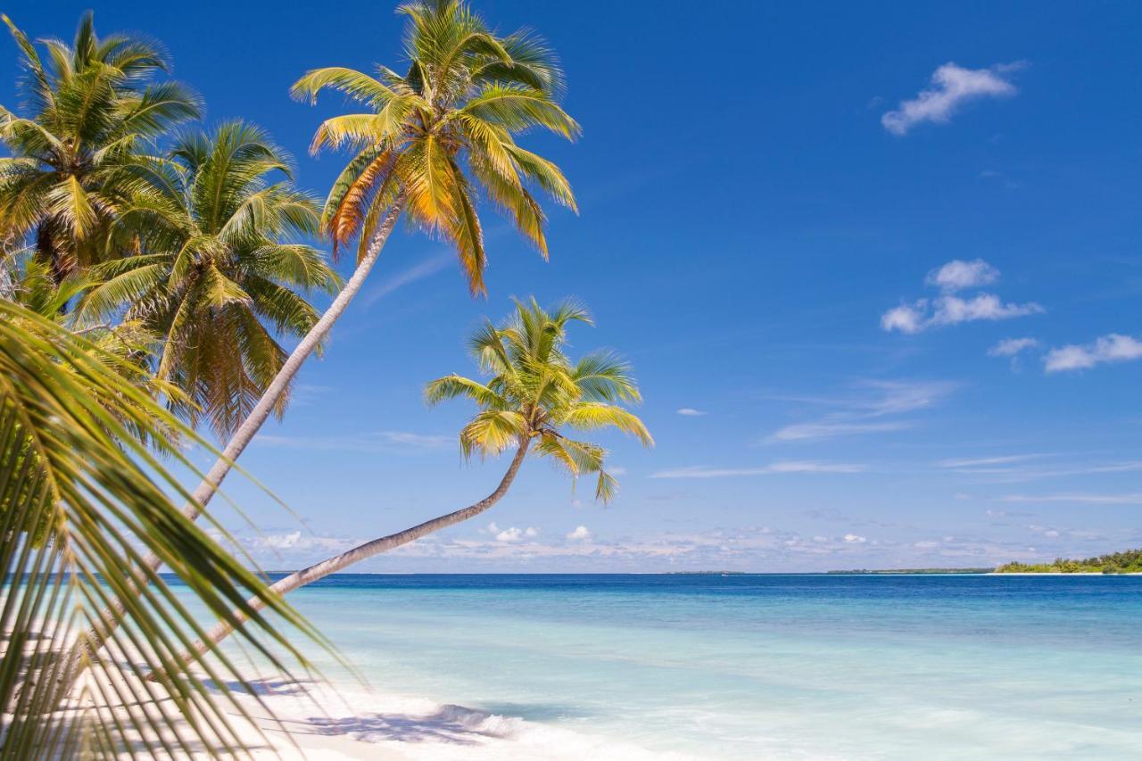 Dhonfulhafi Beach View & Spa Maalhos  Eksteriør bilde